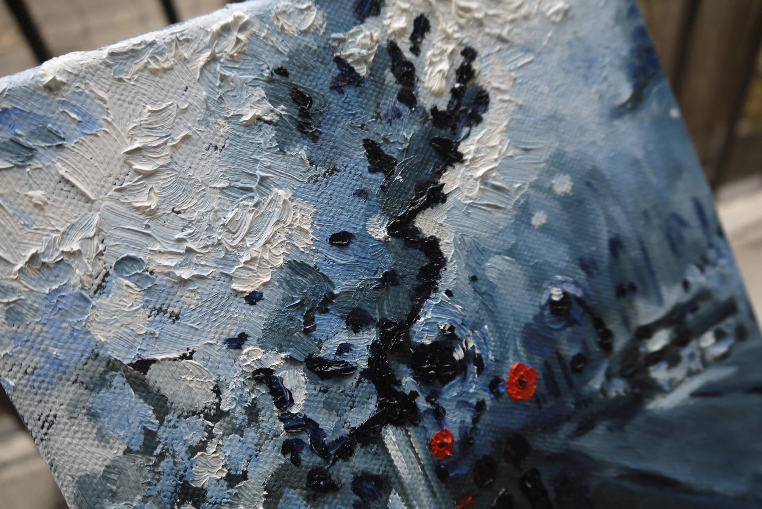 _1090890.JPG