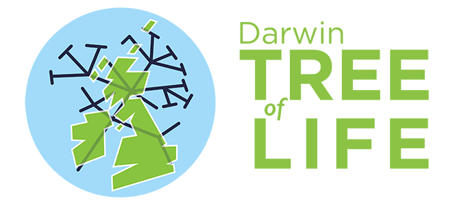 darwin-tree-of-life_logo.png