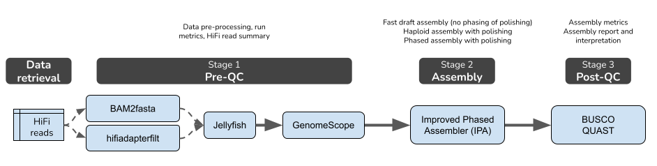 A new best-practice workflow for easy and efficient genome assembly ...