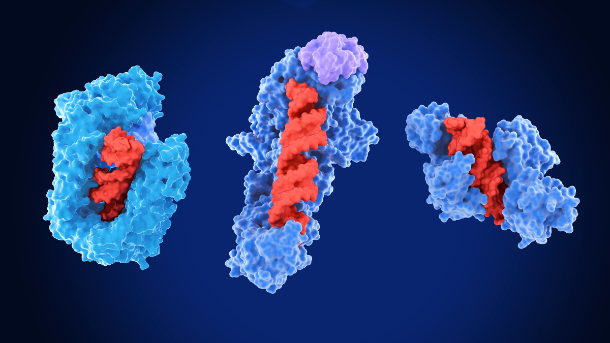 2026-04 NCI Data Collection.png