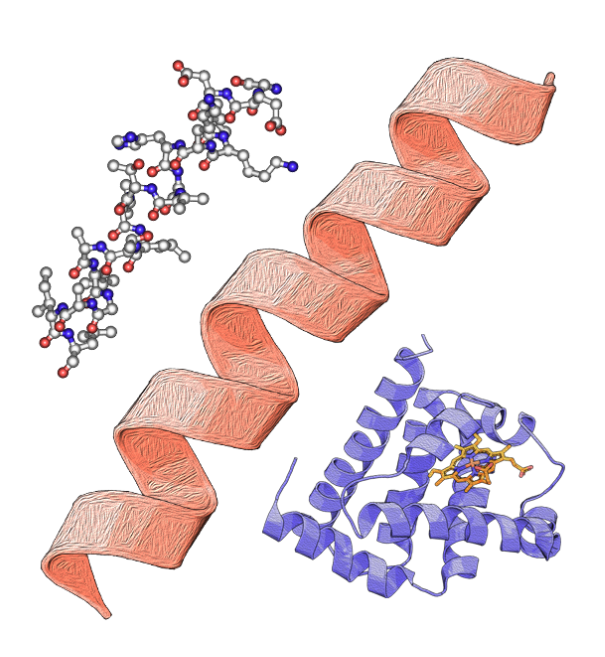 Visualisation of protein structure elements