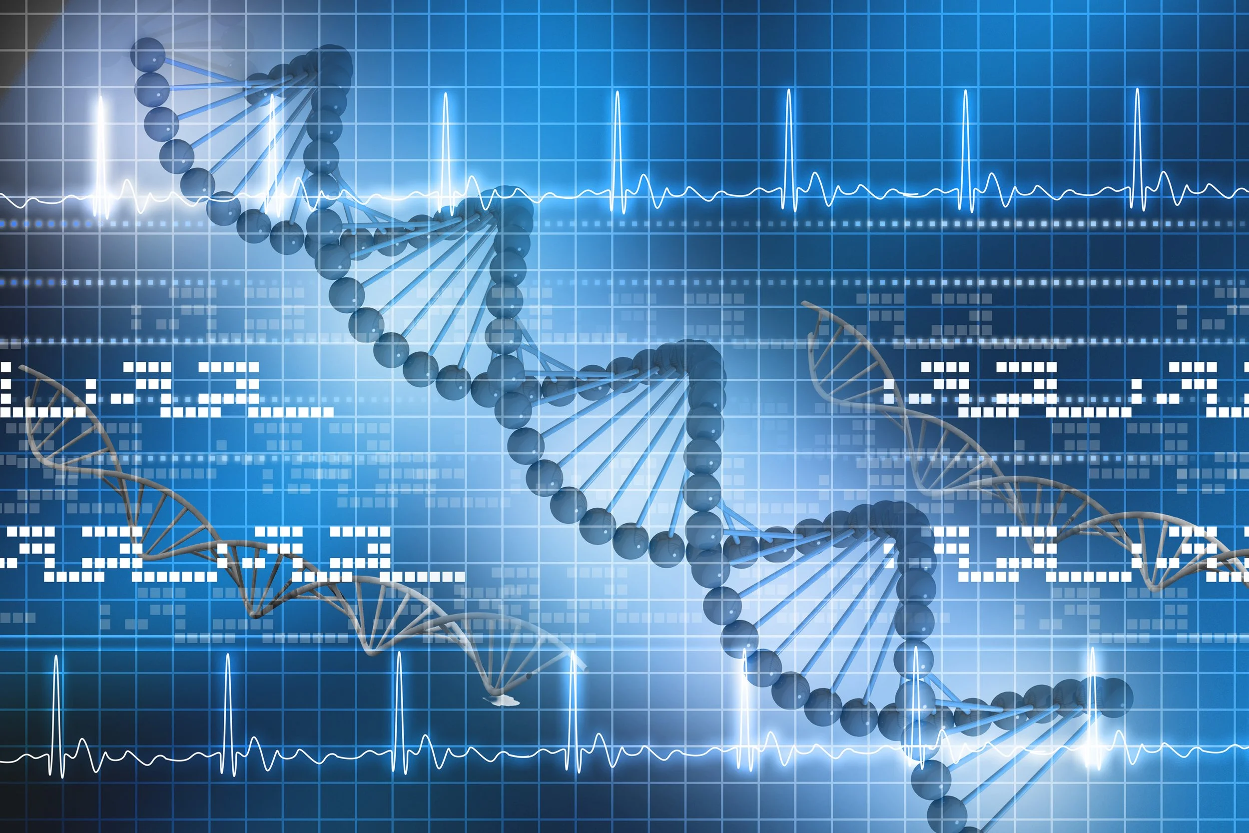 2026-04 QIMRB GUARDIANS 3.jpg