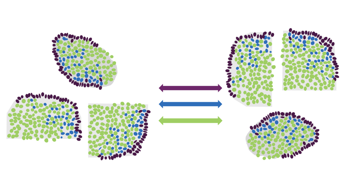 2026-01_Spatial Sampler.png