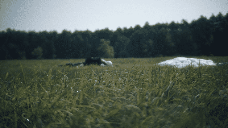 D_TF_TRAILER-high.gif