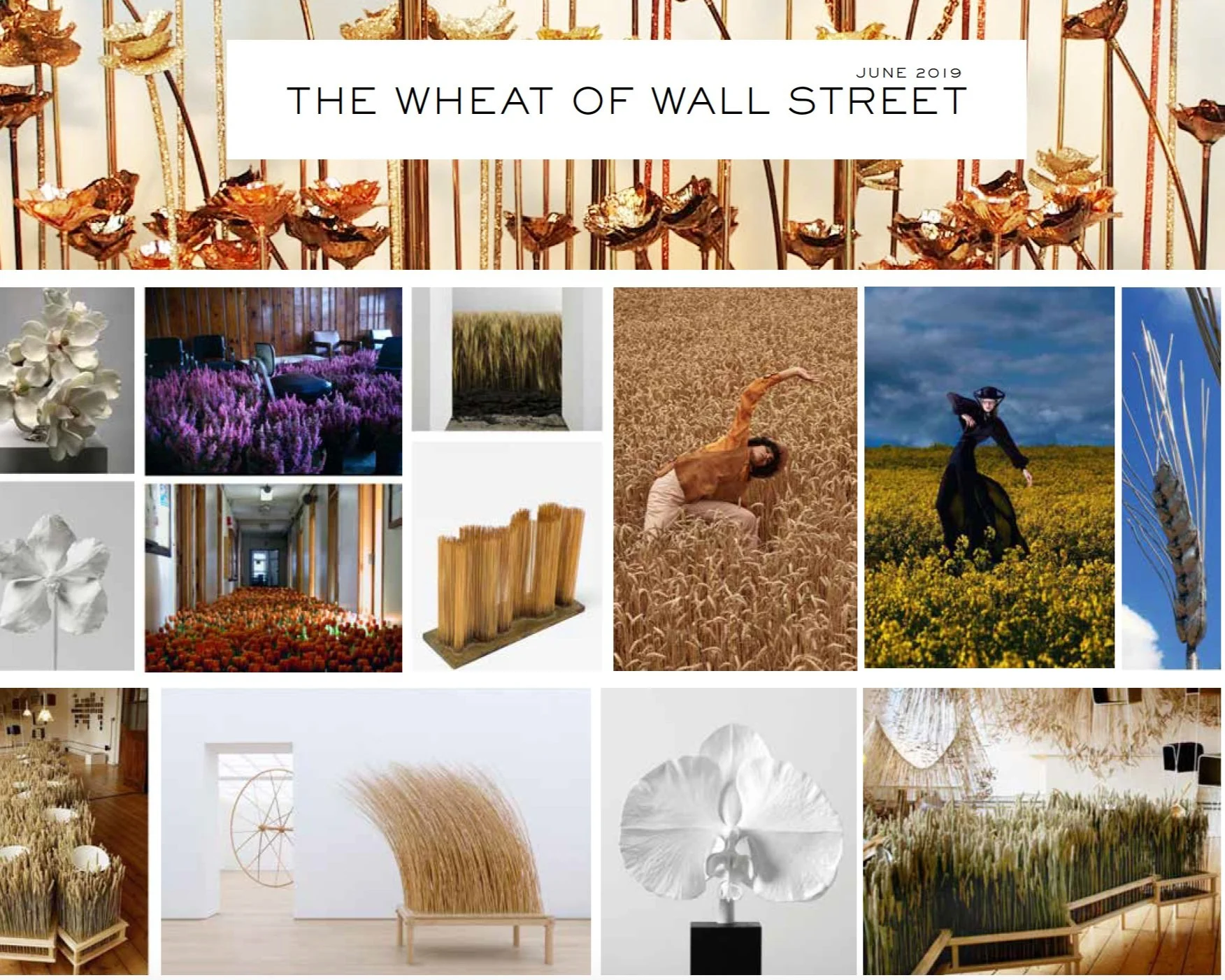 Screen Shot 2019-07-26 at 7.13.53 PM.jpg