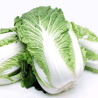 Regular Napa Cabbage (do not use this!)