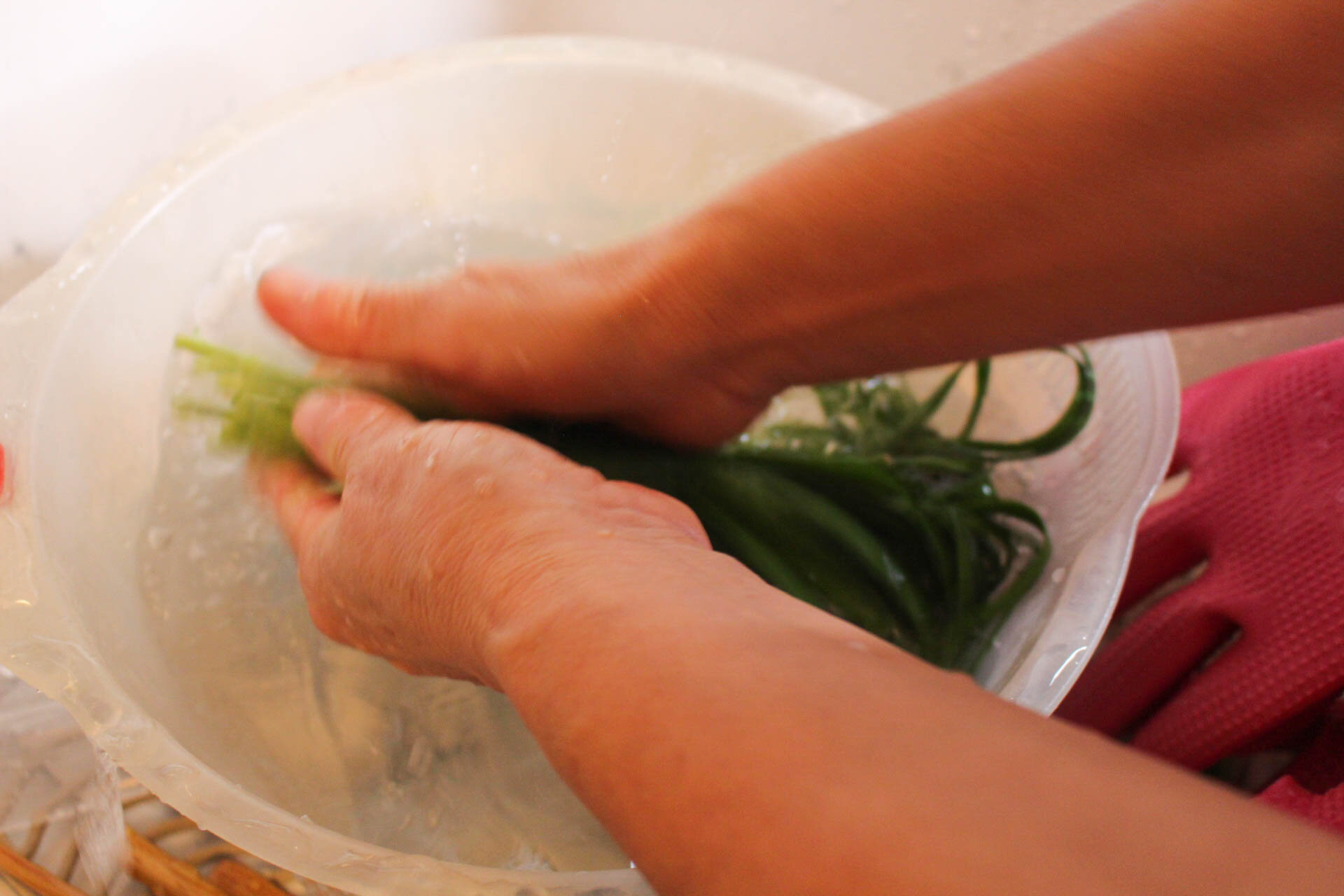 Rub chives between 2 hands