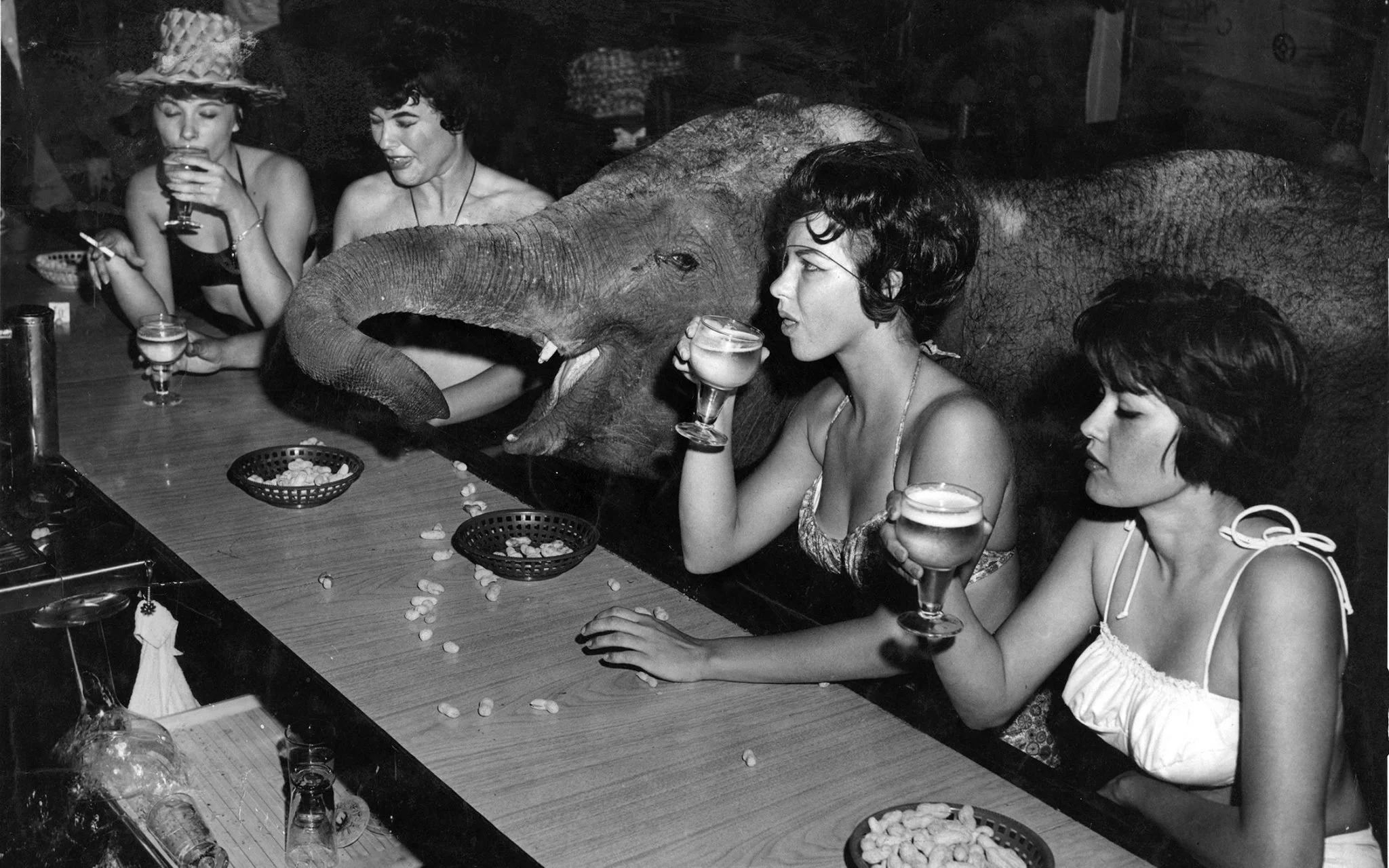 chez-jay-opening-night-1959-elephant-showgirls.jpg
