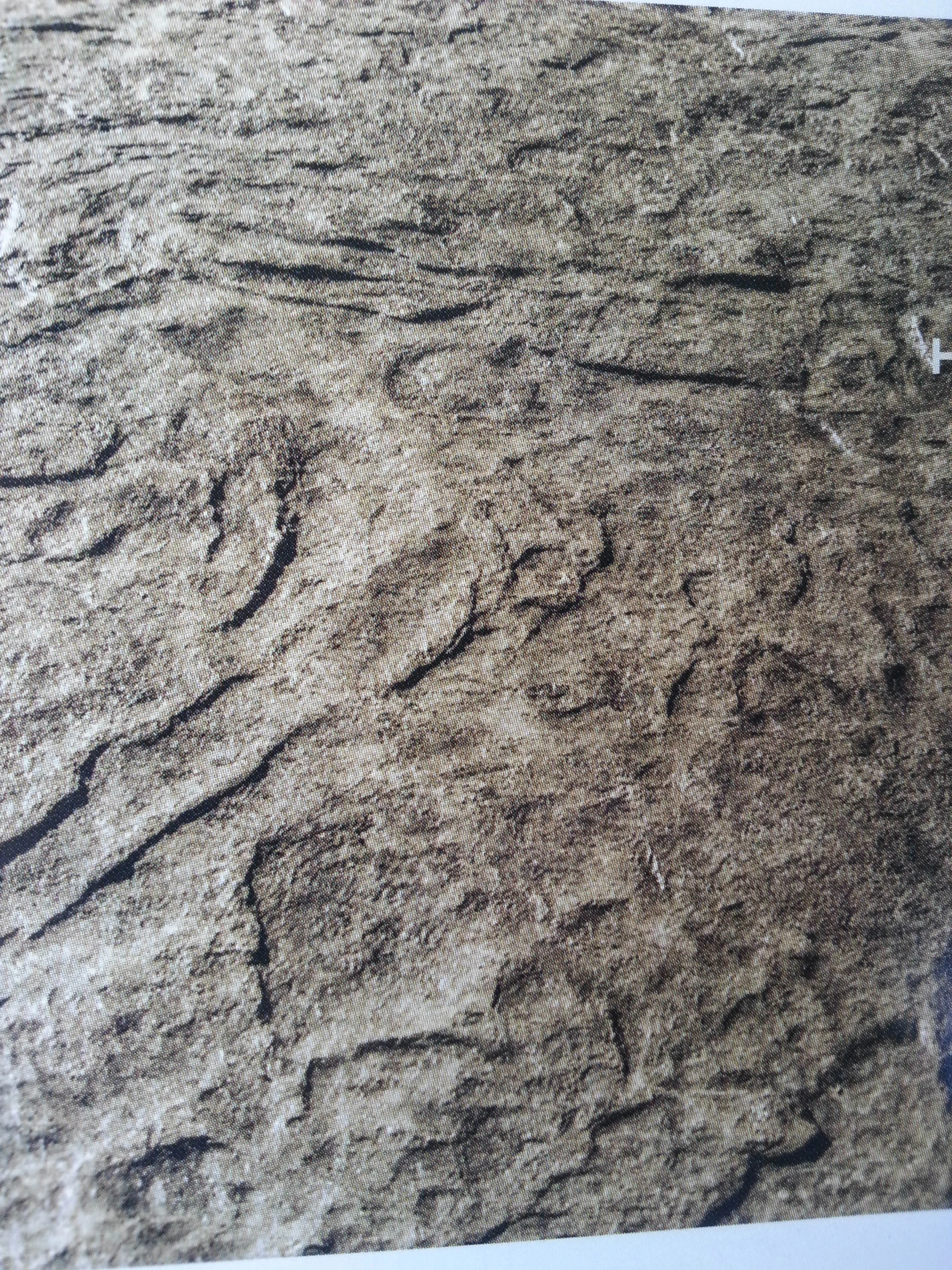 20140410_082132.jpg