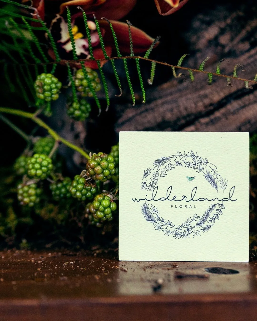 A season of wonder. Merry Christmas.

Photo: @jessicaramakerphotographer