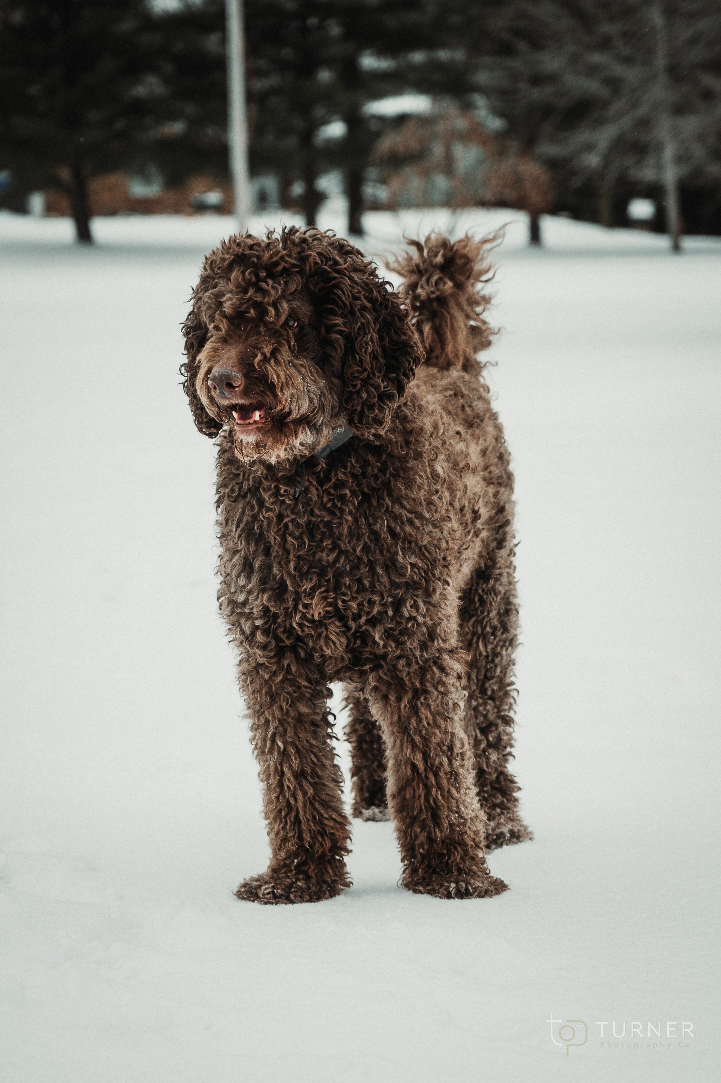 Turner Photography Co-44.jpg