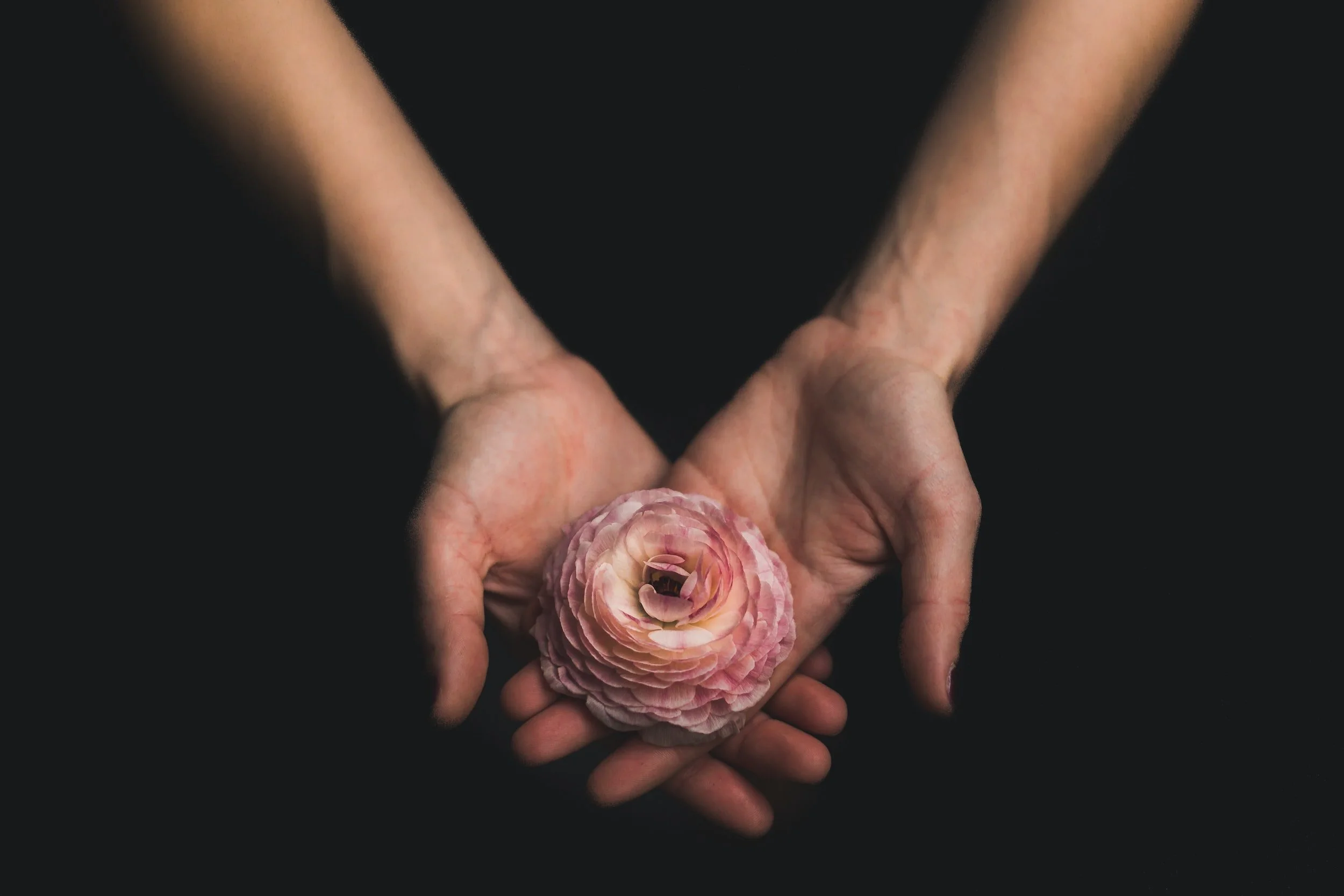 A gentle, supportive therapy session in Fort Collins focusing on healing from grief, bereavement, and profound loss.