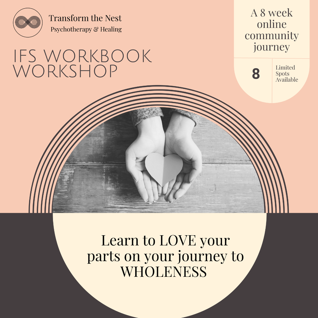 IFS workshop in Fort Collins, CO at Transform the Nest