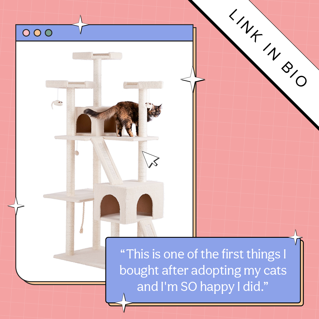 BFS-Relaunch-Review-Link-Grid_06.png