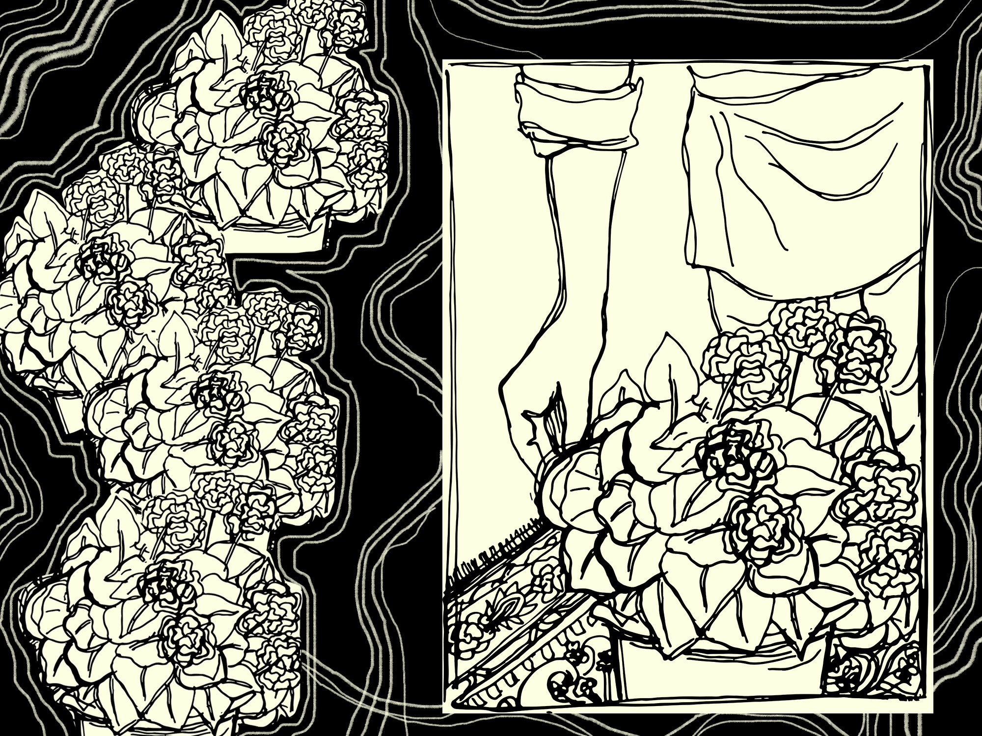 The Life and Times of a Body Connoisseur