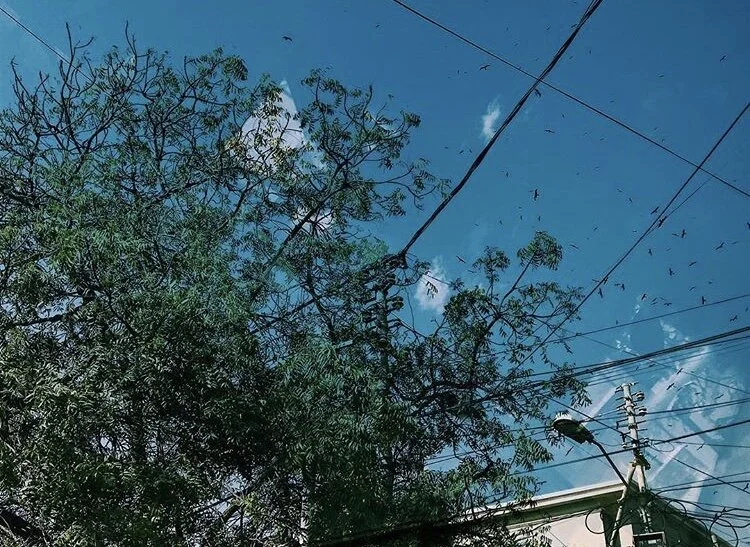 mujhey bury mat karna