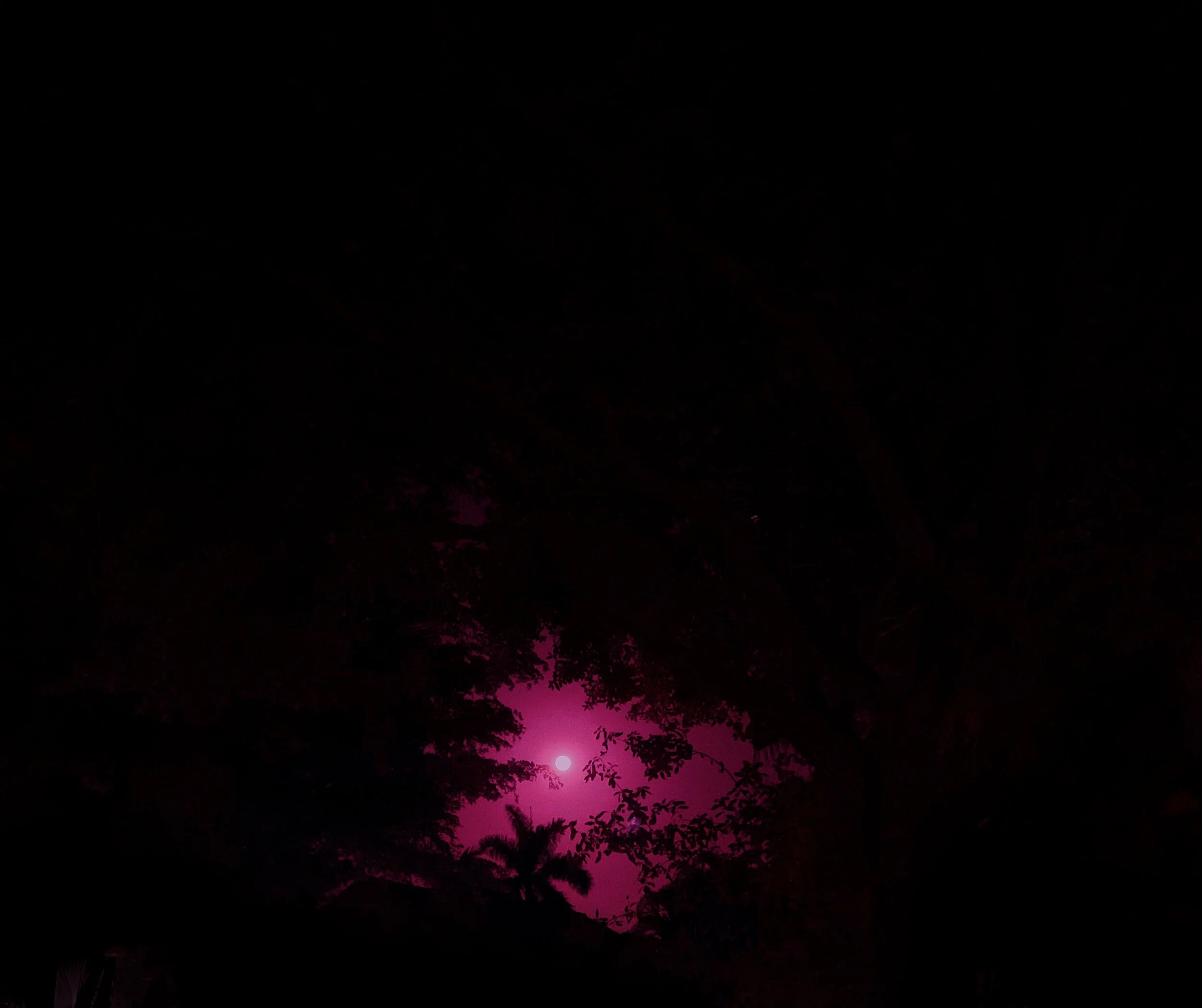 EMAAN_ RAAT KI RAANI.jpeg