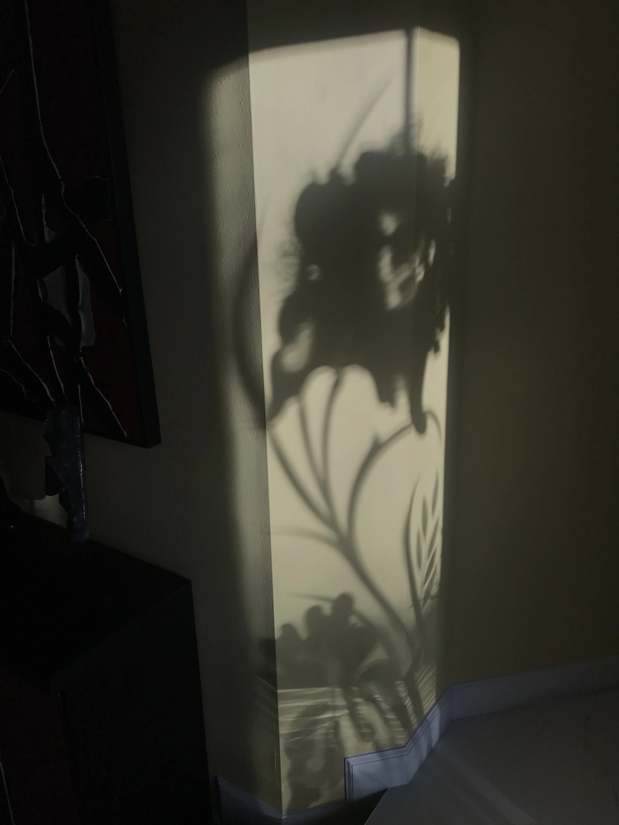 placing my grief in the mouth of language