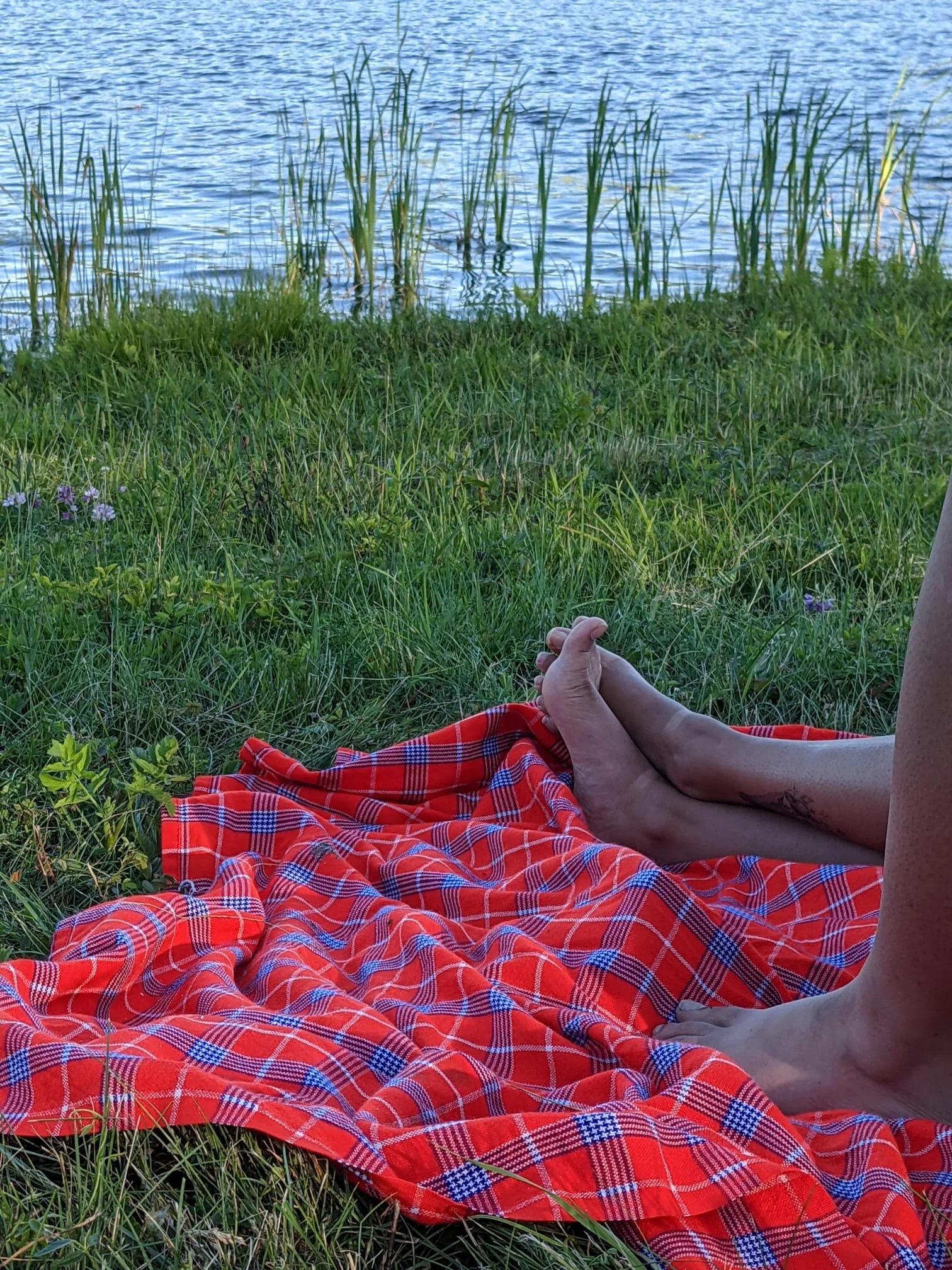 in the absence of your body the moonlight kept me warm 