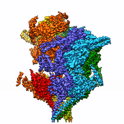 Chi-Min Ho Lab - CryoEM structure of the malaria parasite translocon PTEX