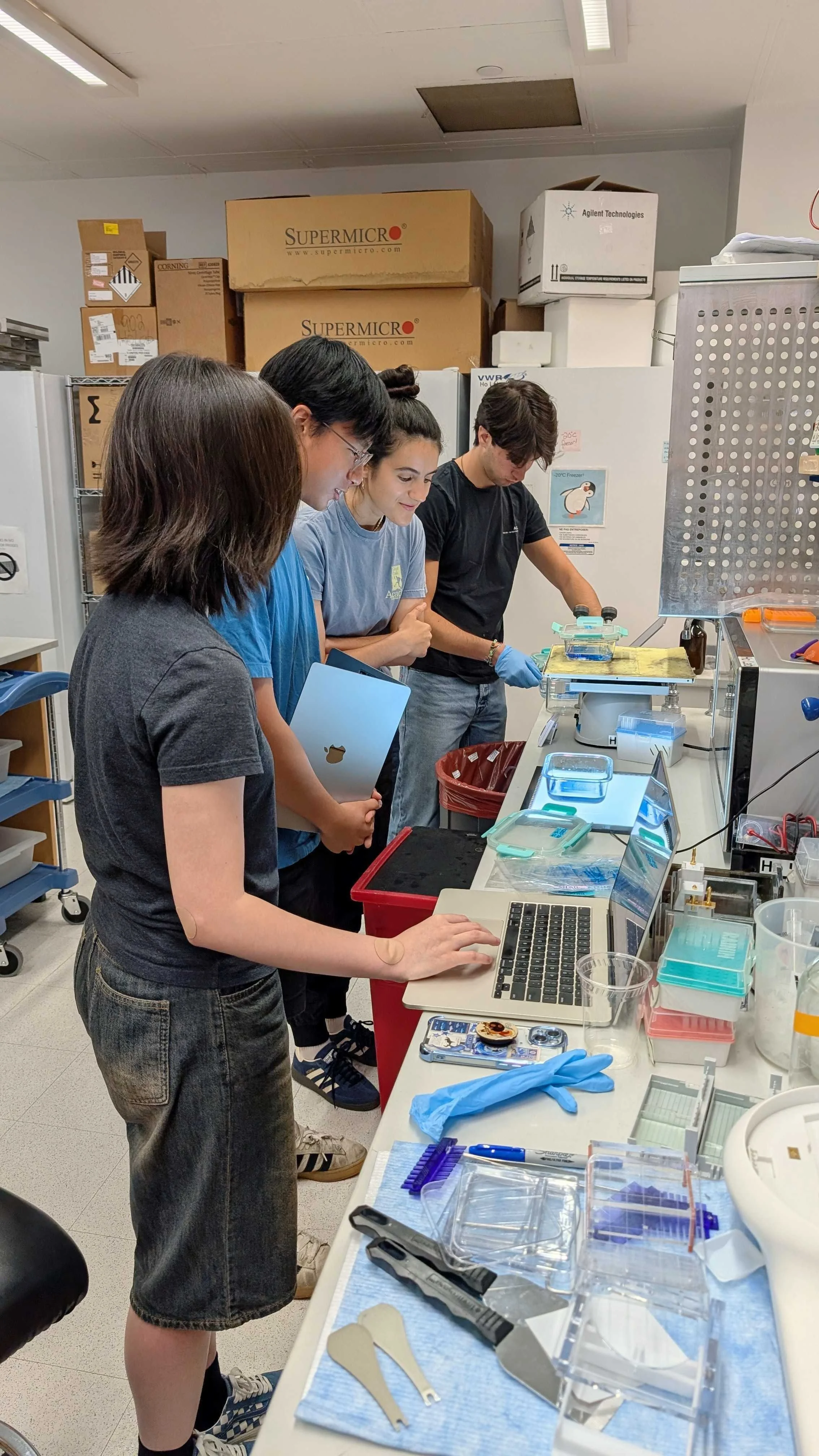 Analyzing gels with Daphne! #summer #undergrads
