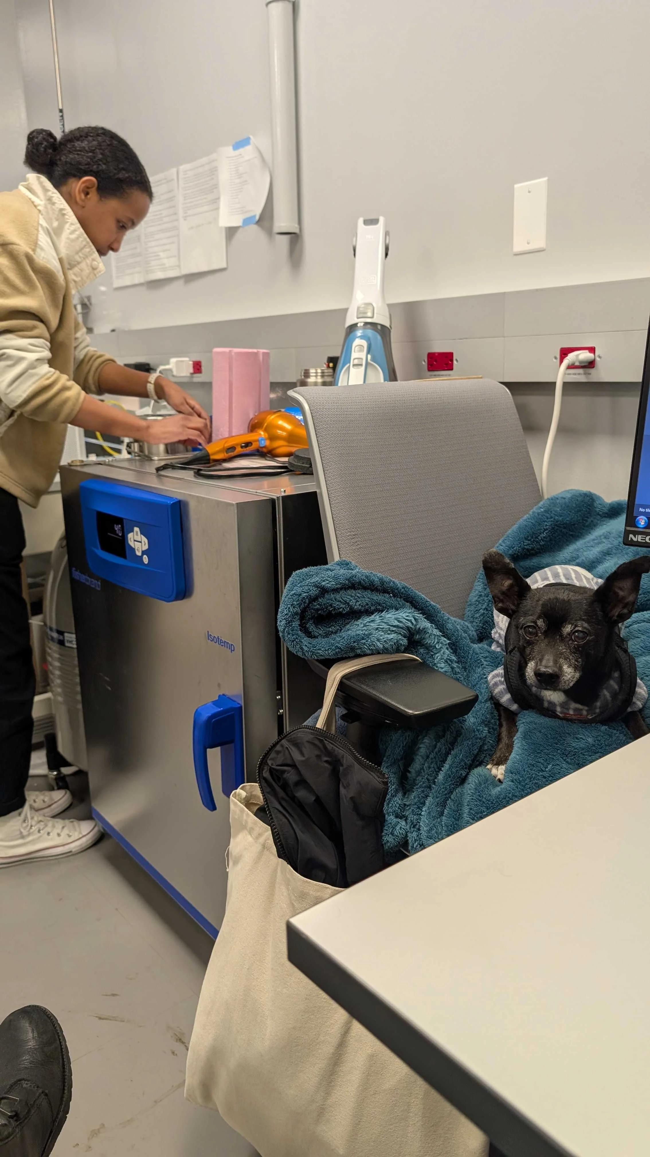Milling days with Mighty! 🐾 #cryopup