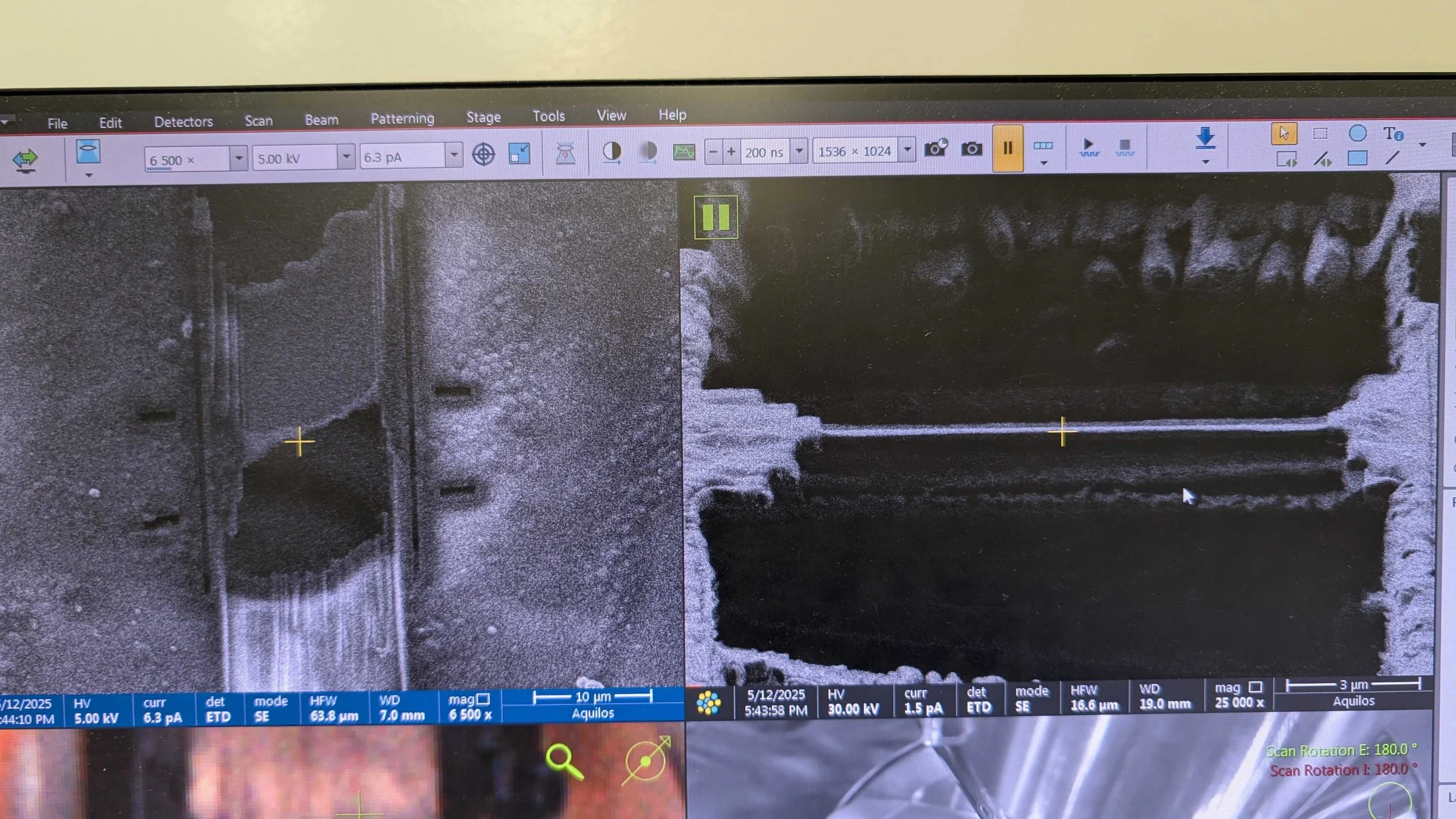 Perfect lamella! 🩵🦠❄️🔬