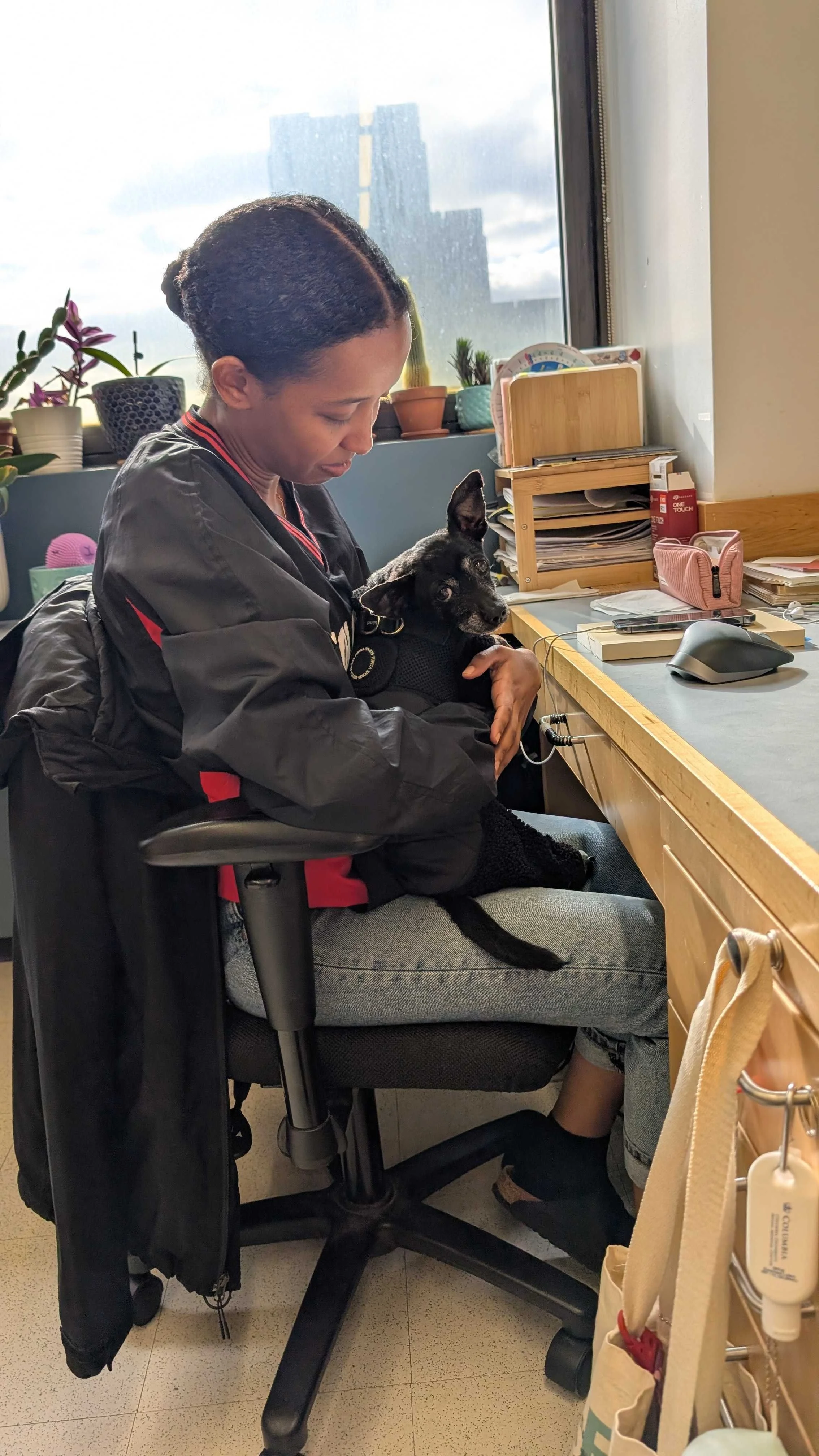 Sunshine and cuddles for submission day! 🐾💛#Mighty #EmotionalSupportPawfficer