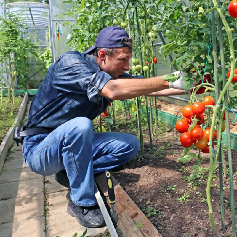 Certificate III in Horticulture (AHC30716)