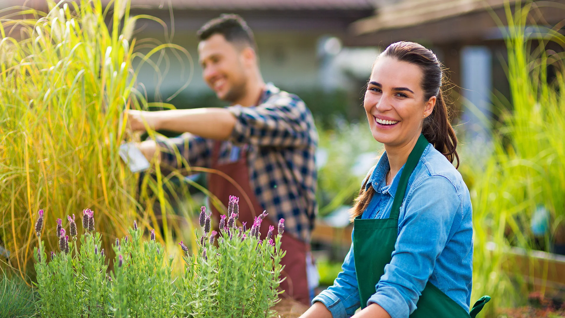   Take Your Horticultural Skills to the Next Level and Learn How to Create Your Own Outdoor Transformations   STUDY CERTIFICATE III in HORTICULTURE (AHC30716)   FIND OUT MORE  