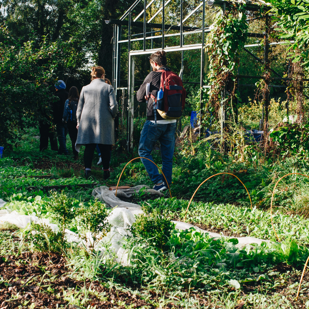 BENEFITS OF PRACTICAL LEARNING