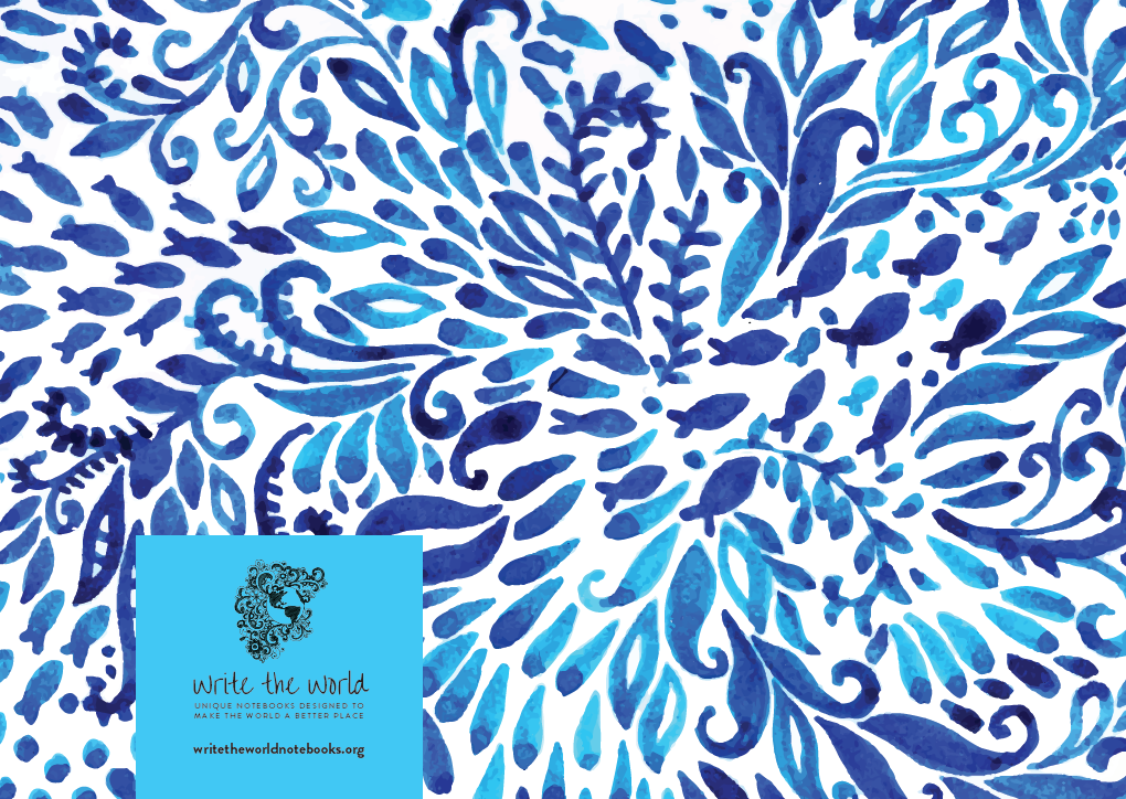 Salt water outer.PNG