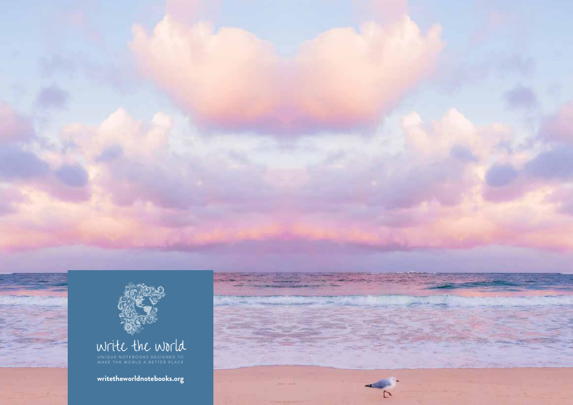 Seagull Strut front.PNG