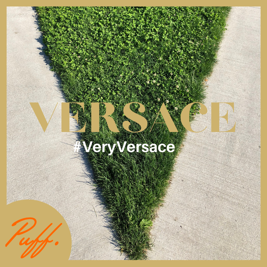 Versace จัดแคมเปญ Very Versace ให้สร้างสรรค์รูปอาร์ตคลายเครียด