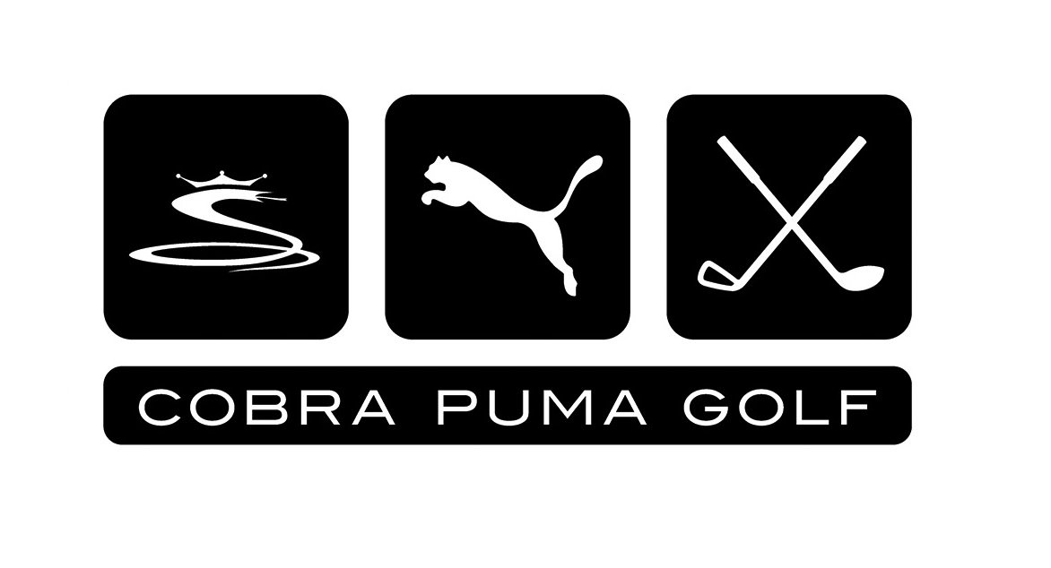 Cobra Puma.jpg