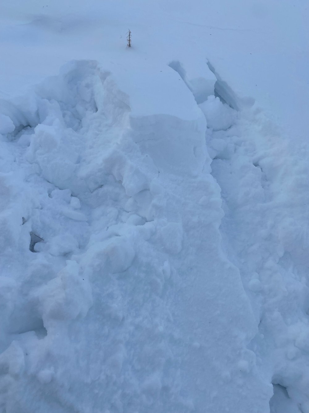 Our body prints from jumping in the snow in only swimsuits