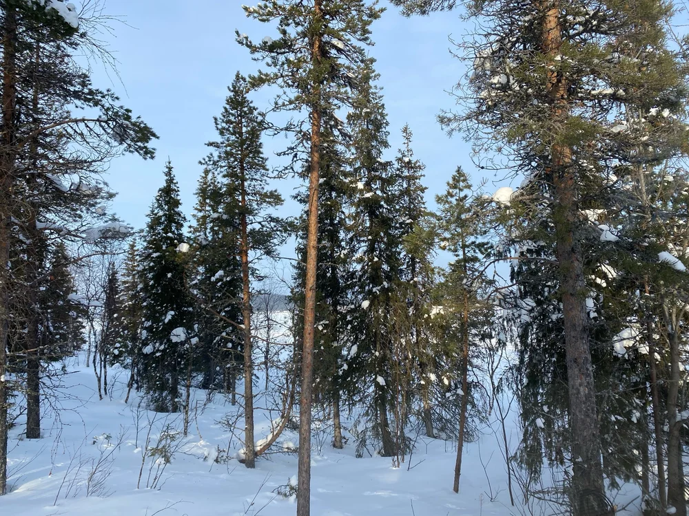 View from the bungalow