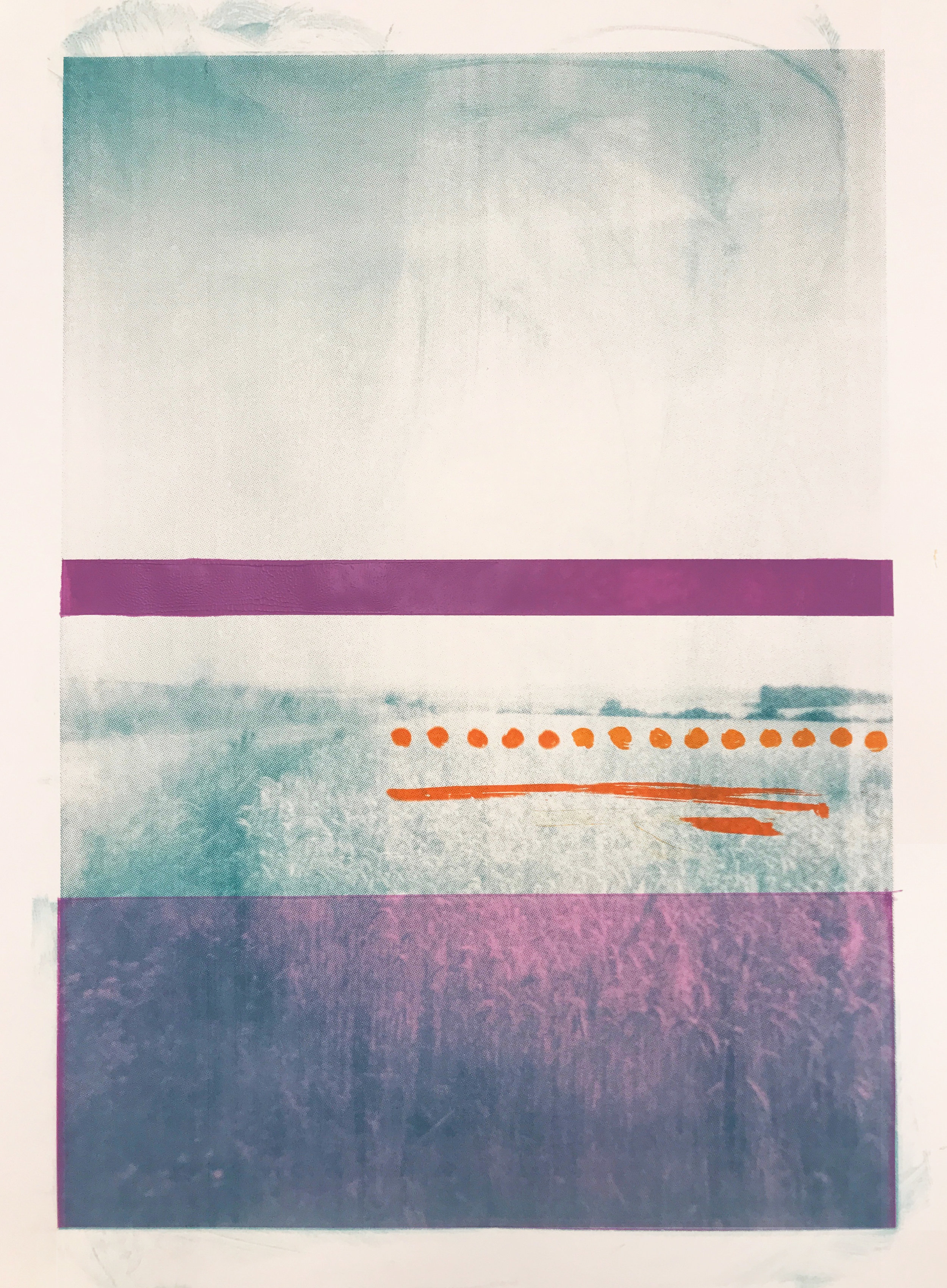 Scattered Orange and Purple Swathe Rising from a Green Carpet