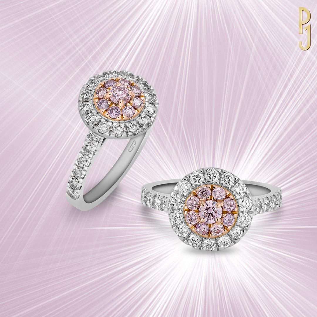 Custom Designed Dress Ring Certified Argyle Diamonds Double Halo Platinum Rose Gold Philip's Jewellery Mackay .jpg