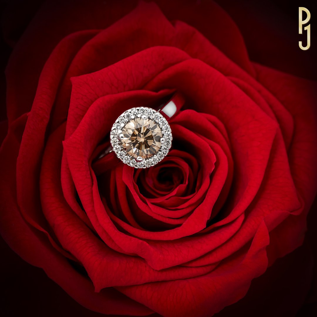Custom Designed Dress Ring Certified Argyle Chocolate Round Brilliant Cut Diamond Halo Style White Gold Philip's Jewellery Mackay .jpg