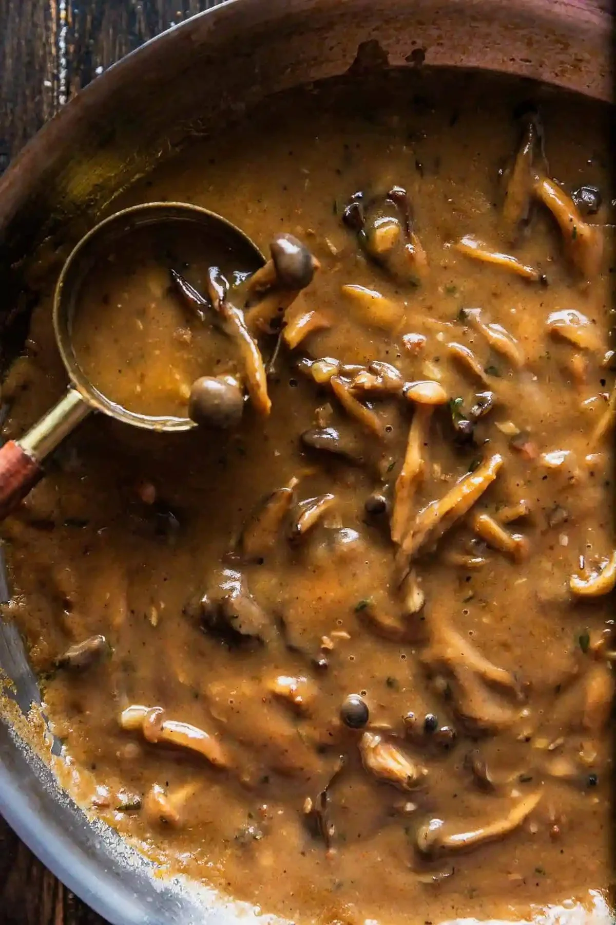 WILD MUSHROOM GRAVY