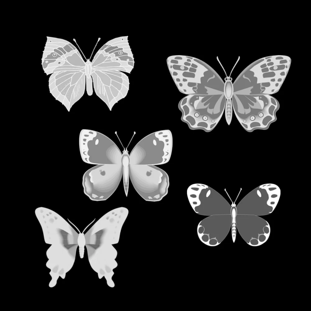 MKCP-Butterflies and Moths.jpg