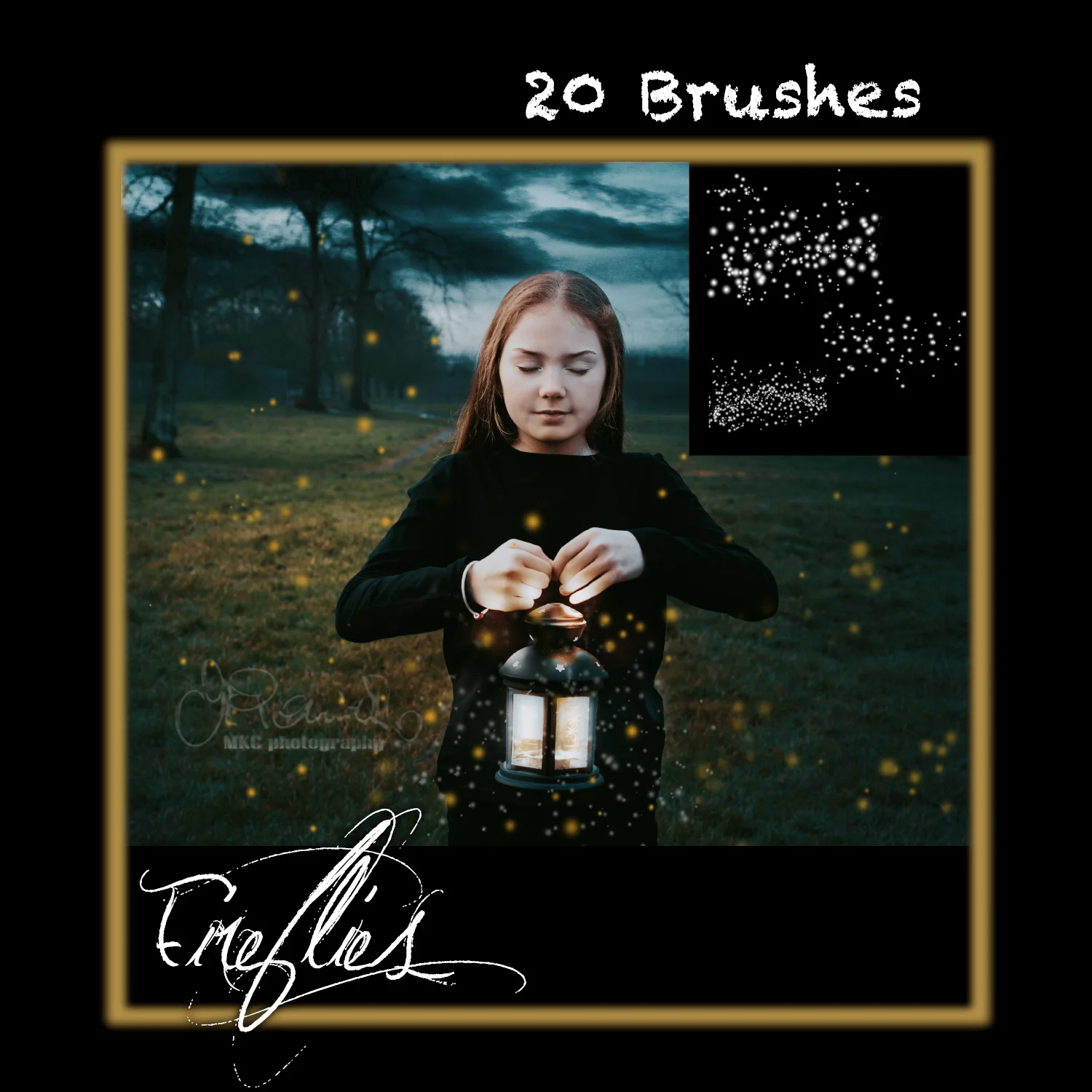 FIREFLIES.jpg
