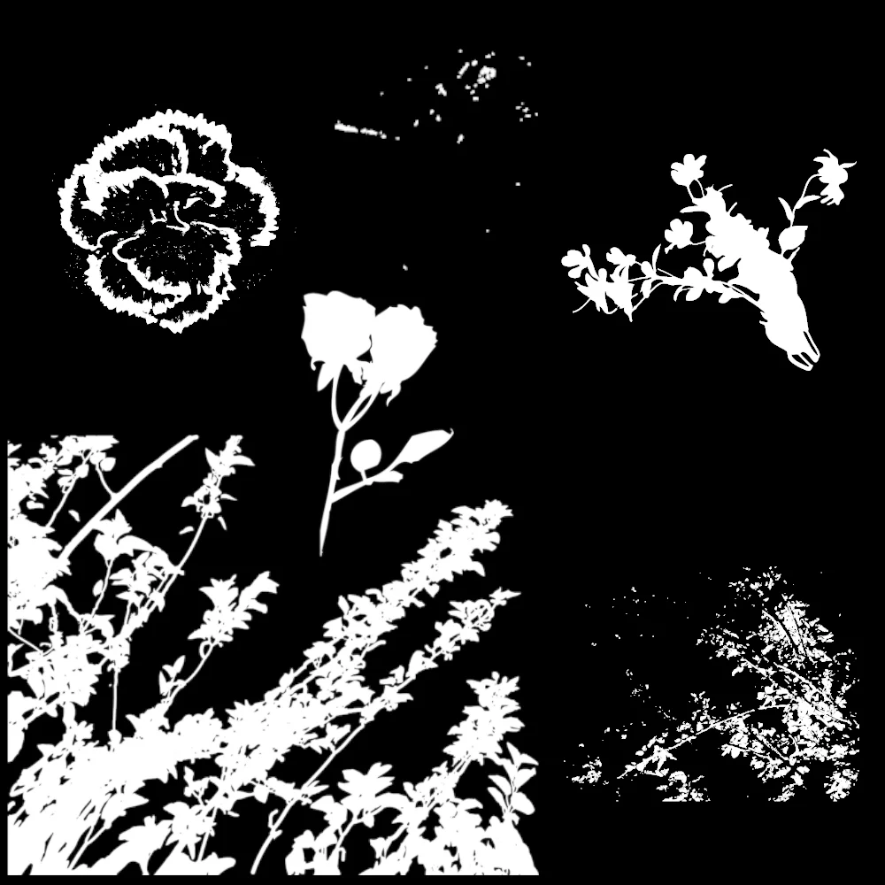 MKCP-Flowers and branches.jpg