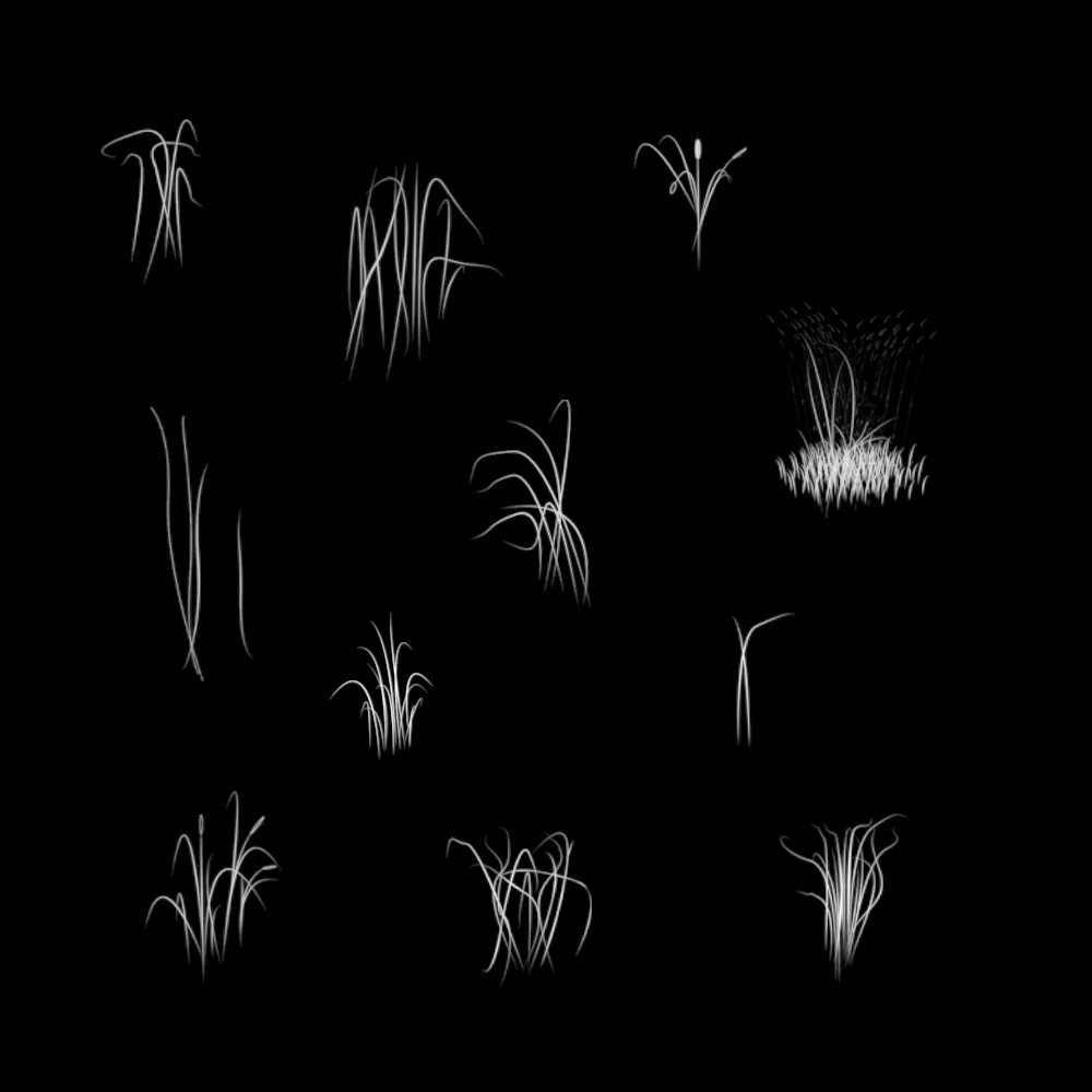 MKCP-Grass.jpg