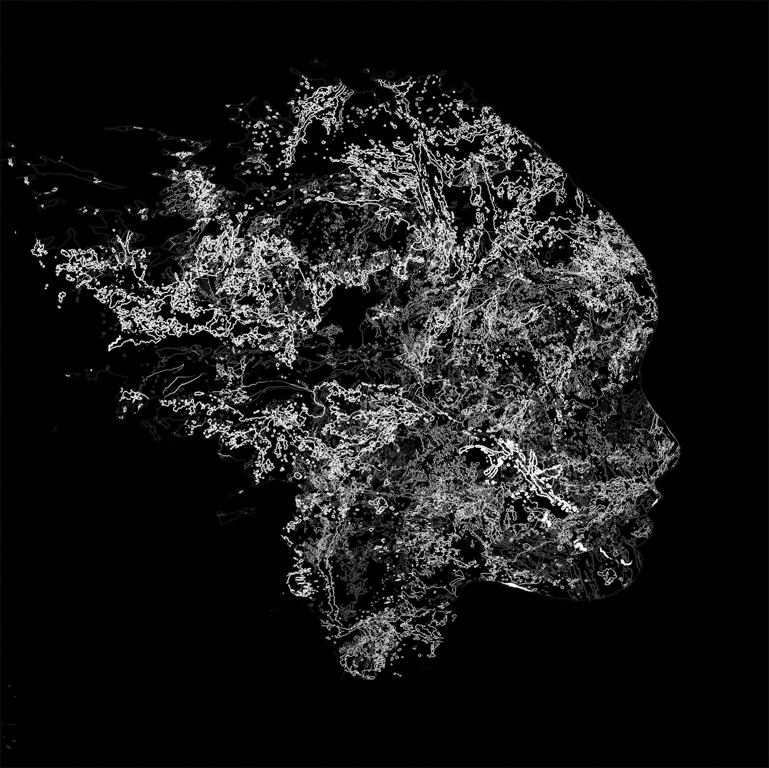 Skyhead-1.jpg