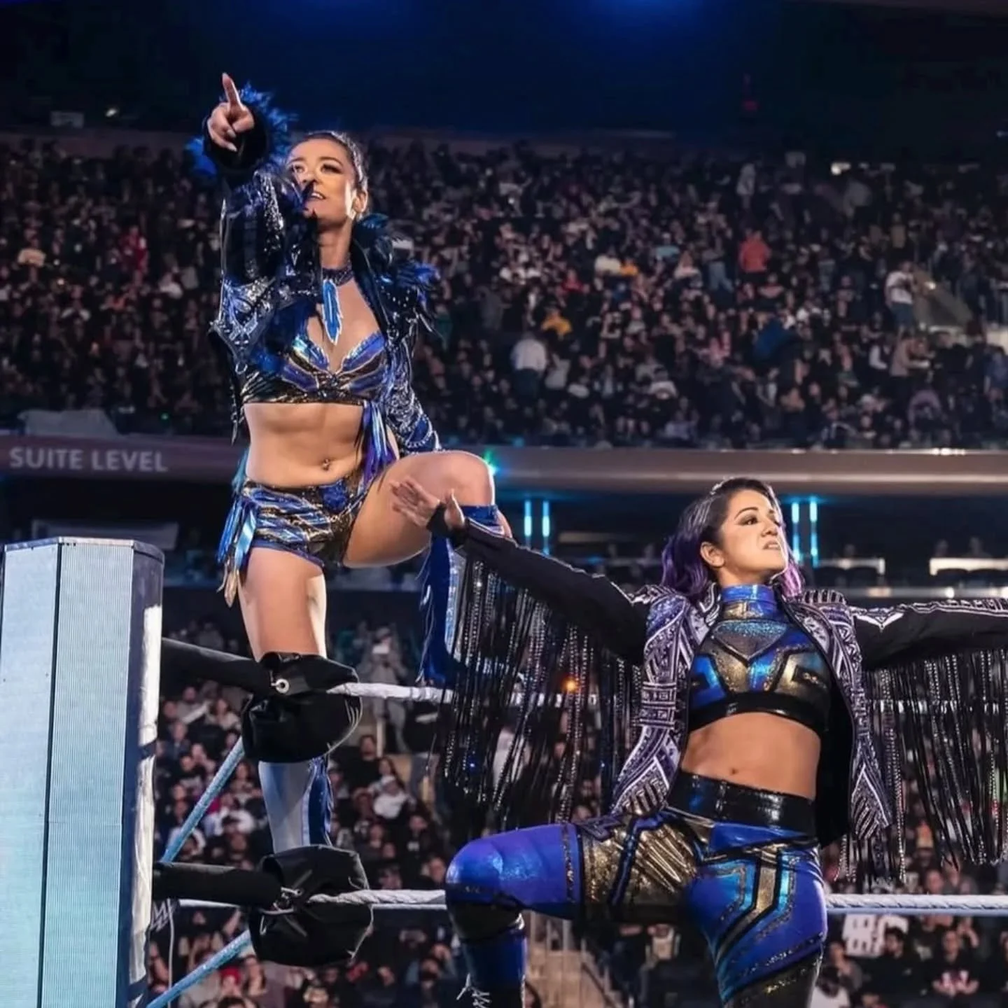 Loved getting to design and make new gear for @real_valkyria for her tag match at Madison Square Garden a few weeks ago!! So pretty!! 🪶
💙💜💛💜💙
#wwe @wwe #lyravalkyria