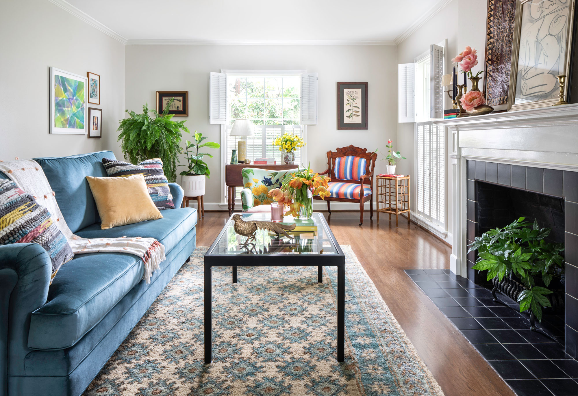 Bright Blue Couch and White Rug | Luxury Classic House Design Ideas