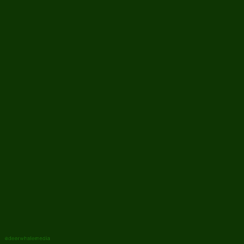 2016-12-DeerWhale-Xmas2016-Tree_wBurnin.gif
