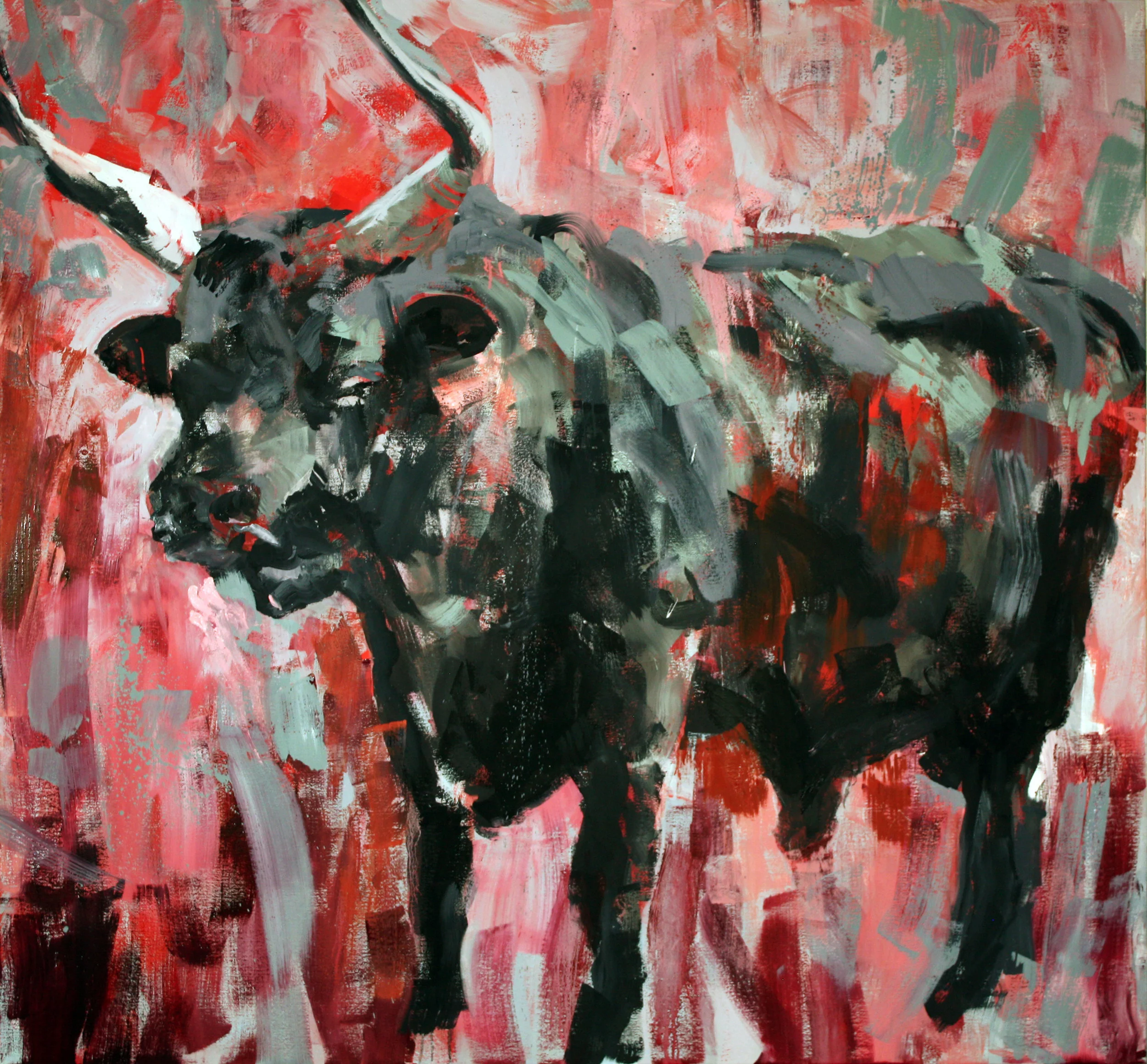 Bull